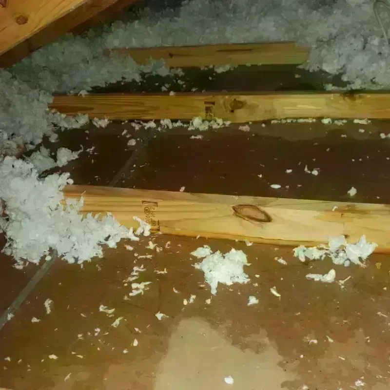 Attic Water Damage in Minnehaha, WA