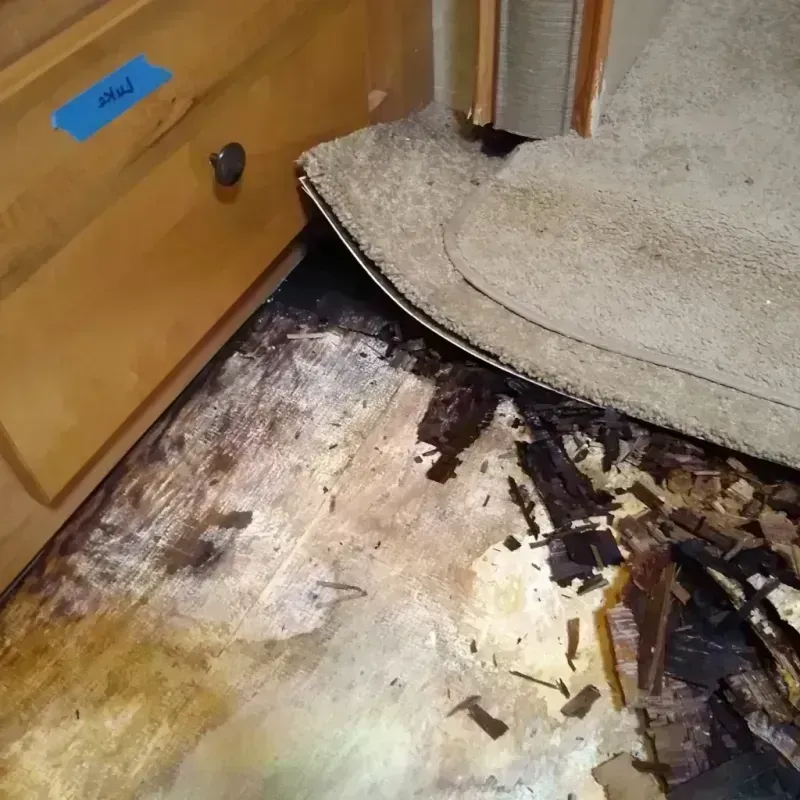 Wood Floor Water Damage in Minnehaha, WA